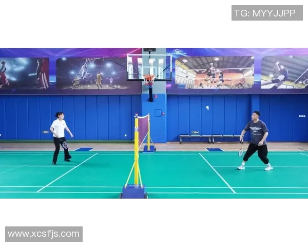 小鸡们的篮球梦：一场充满欢笑与友谊的比赛故事